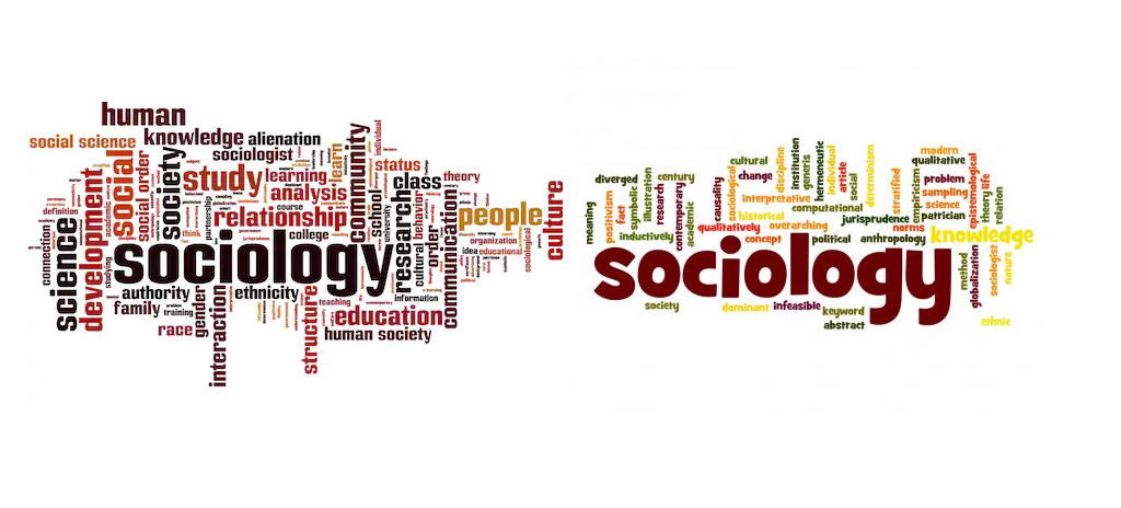 Sociological Academic Skills II