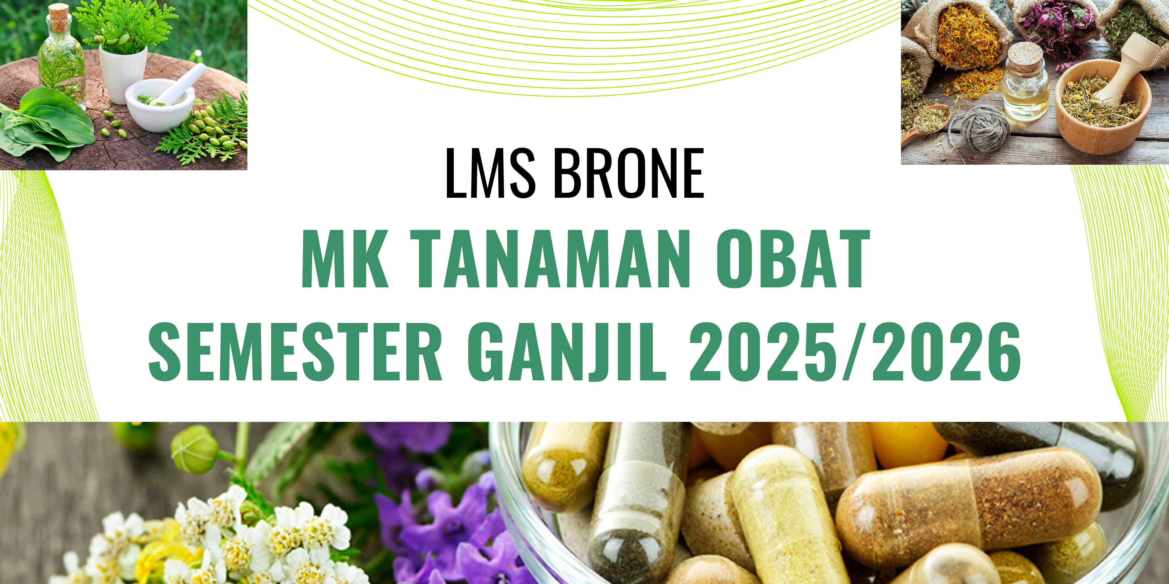 Tanaman Obat (2025/2026 Ganjil)