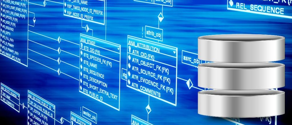 Sistem Basis Data