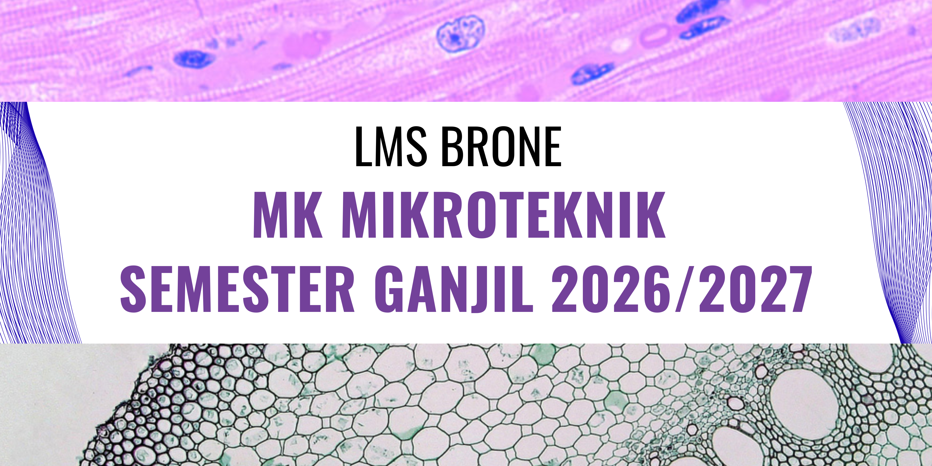 Mikroteknik